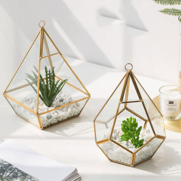 Home Succulent Decoration Bonsai Decoration - Image 5